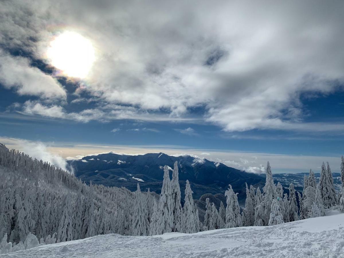Silver Mountain Poiana Brasov Esterno foto
