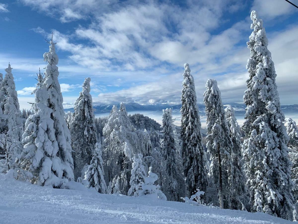 Silver Mountain Poiana Brasov Esterno foto