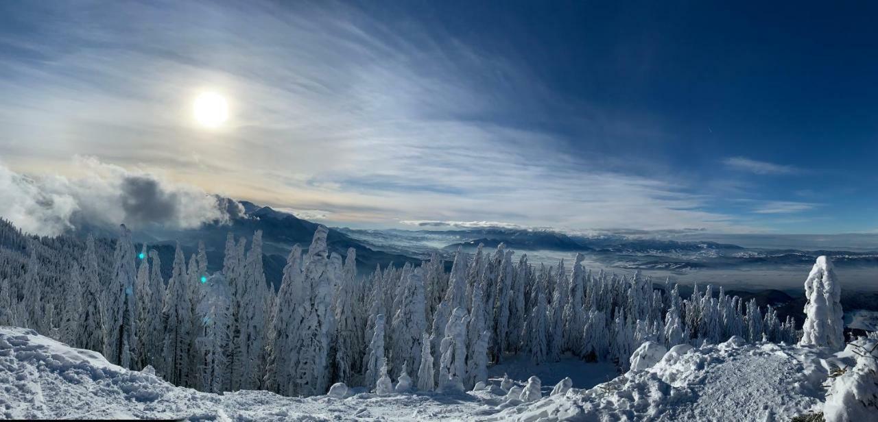 Silver Mountain Poiana Brasov Esterno foto